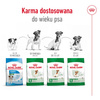 Royal Canin SHN Mini Adult 12+ 3,5kg Karma Sucha Dla Psów Dojrzałych Po 12 Roku Życia Ras Małych