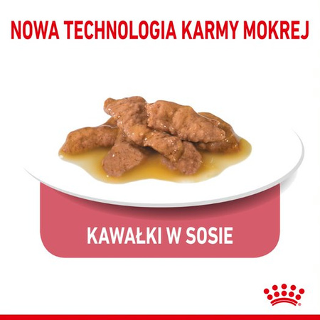 Royal Canin FHN Indoor Sterilised w Sosie 6x85g Karma Mokra Dla Kotów Dorosłych Sterylizowanych Przebywających W Domu