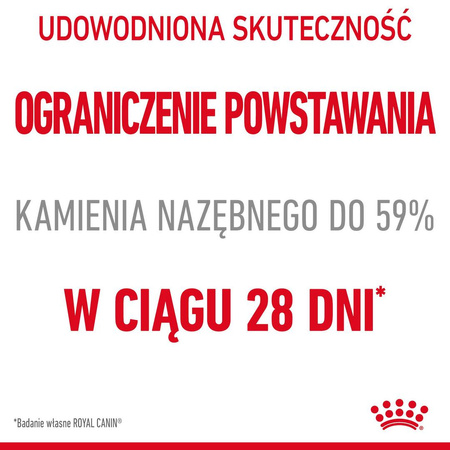 Royal Canin Dental 8kg Karma Sucha Dla Kotów Dorosłych Redukująca Odkładanie Kamienia Nazębnego