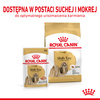 Royal Canin BHN Adult Shih Tzu 85g Mokra Karma Pasztet Dla Psów Rasy Shih Tzu