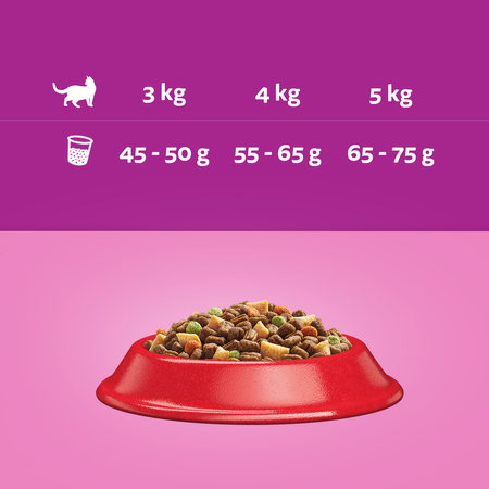 Whiskas Adult 300g Sucha Karma Pełnoporcjowa Dla Dorosłych Kotów Z Wołowiną