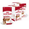 Royal Canin Medium Adult 20x140g Mokra Karma W Sosie Dla Psów Dorosłych Ras Średnich