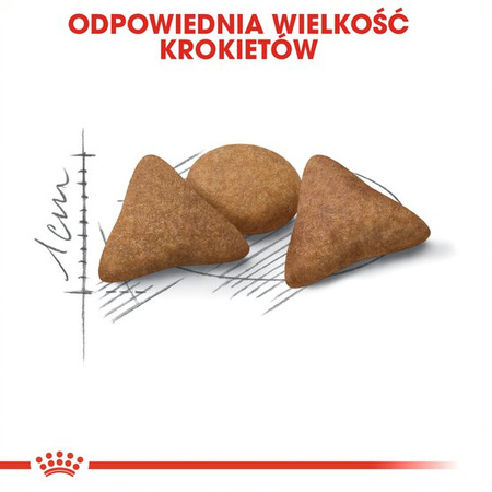 Royal Canin Indoor Apetite Control 2kg Karma Sucha Dla Kotów Dorosłych Przebywających W Domu Domagających Się Jedzenia