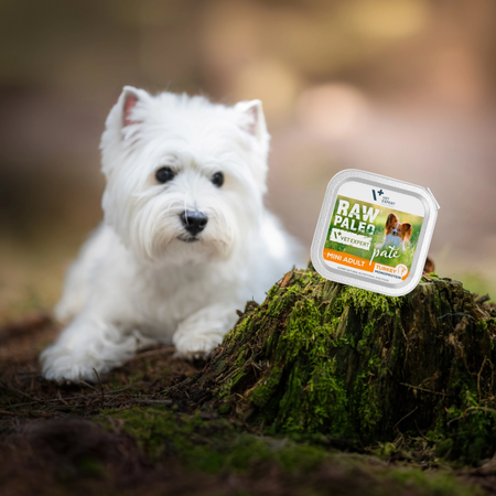 Raw Paleo Pate Mini Adult Turkey Tacka 6x150g Mokra Karma Dla Psów Małych Ras z Indykiem