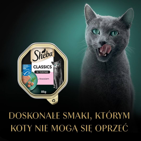 Sheba Classics 22x85g Z Łososiem Mokra Karma Dla Kotów W Terynie