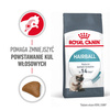 Royal Canin FCN Hairball Care 4kg Karma Sucha Dla Kotów Dorosłych Eliminacja Kul Włosowych