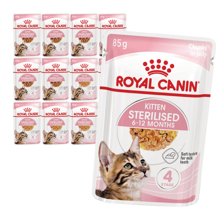 Royal Canin FHN Kitten Sterilised w Sosie i Galaretce 12x85g Karma Mokra Dla Kociąt Sterylizowanych Do 12 Miesiąca Życia