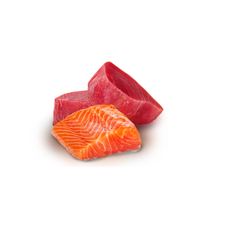 Farmina N&D Cat Natural Tuna & Salmon 70g Mokra Karma Dla Kota Tuńczyk Łosoś