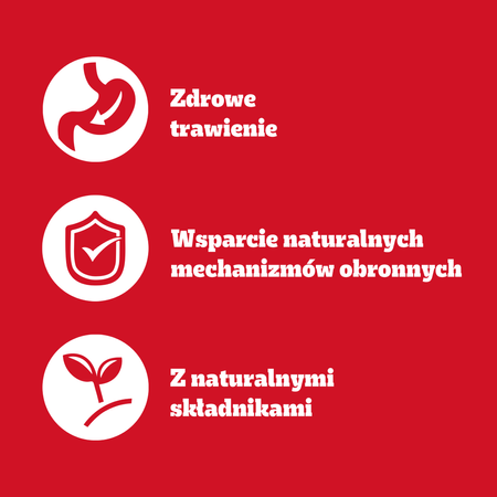 PEDIGREE Adult puszka 400g - Mokra Karma dla Psów z Kurczakiem i Marchewką w Galaretce