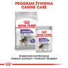 Royal Canin CCN Sterilised 24x85g Karma Mokra Pasztet Dla Psów Dorosłych Sterylizowanych