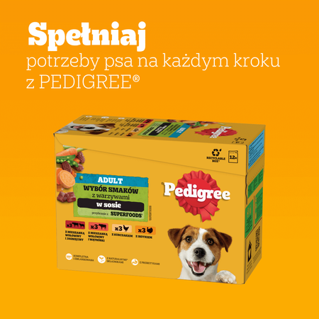 Pedigree Saszetka 48x100g Mokra Karma W Sosie Dla Psa Wołowina, Kurczak, Jagnięcina, Indyk