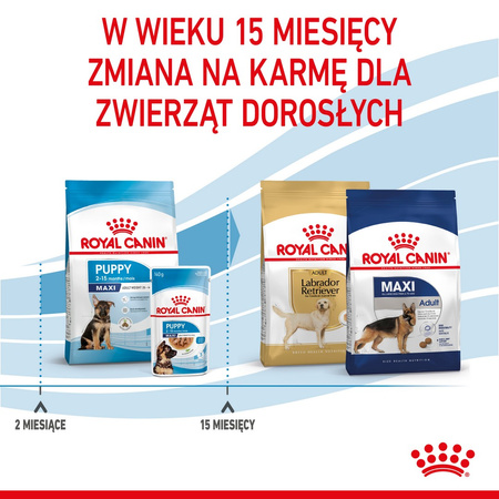Royal Canin Maxi Puppy 2x15kg Karma Sucha Dla Szczeniąt, Od 2 Do 15 Miesiąca Życia, Ras Dużych