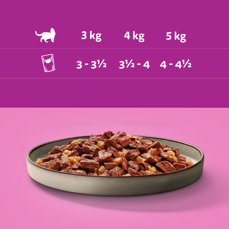 Whiskas Adult Soczyste Kąski Pure Delight Saszetki 24x85g Mokra Karma Dla Dorosłych Kotów w Galaretce