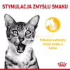 ROYAL CANIN Sensory Mix Smell Taste Feel w Sosie Zestaw 24x85g Mokra Karma Dla Kotów Wybrednych