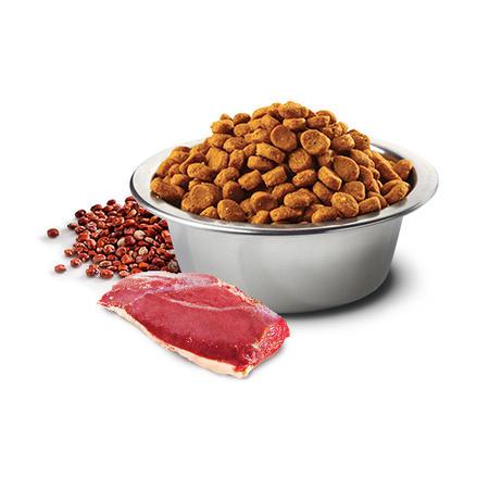 Farmina N&D Quinoa Dog Skin & Coat 7kg Sucha Karma Dla Dorosłych Psów Średnich i Dużych Ras z Kaczką Na Skórę i Sierść 