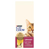 Purina Cat Chow Urinary Tract Health 15kg Sucha Karma Dla Kotów Z Kurczakiem Wsparcie Układu Moczowego