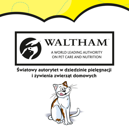 Dreamies Przysmak Dla Kota Chrupiące Paszteciki Z Nadzieniem Łosoś Z Serem 60g