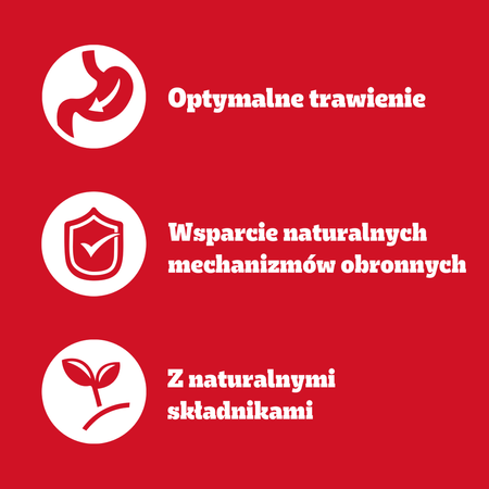 PEDIGREE Vital Protection WOŁOWINA DRÓB w Galaretce 4x100g mokra karma dla dorosłych psów