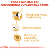 Royal Canin BHN French Bulldog Adult 1,5kg Karma Sucha Dla Psów Dorosłych Rasy Bulldog Francuski