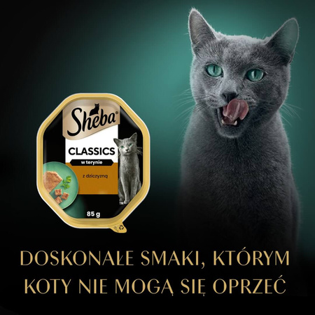 Sheba Classics Tacka 12x85g Mokra Karma Pełnoporcjowa Dla Kota Z Dziczyzną W Terynie