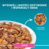 Purina One Junior 12x85g Mokra Karma Dla Kociąt Z Łososiem I Marchewką