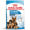 Royal Canin Maxi Starter Mother & Babydog 4kg Karma Sucha Dla Suk W Ciąży I Okresie Laktacji Oraz Szczeniąt Ras Dużych