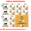 Royal Canin FBN Sphynx Adult 10kg Karma Sucha Dla Kotów Dorosłych Rasy Sfinks