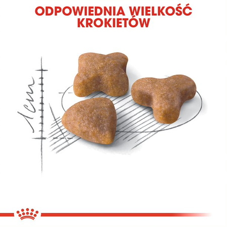 Royal Canin FHN Sensible 33 Adult 10kg Sucha Karma Dla Dorosłych Kotów Z Wrażliwym Układem Pokarmowym