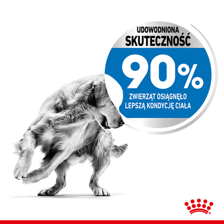 Royal Canin Maxi Light Weight Care 3kg Karma Sucha Dla Psów Dużych Ras Z Tendencją Do Nadwagi