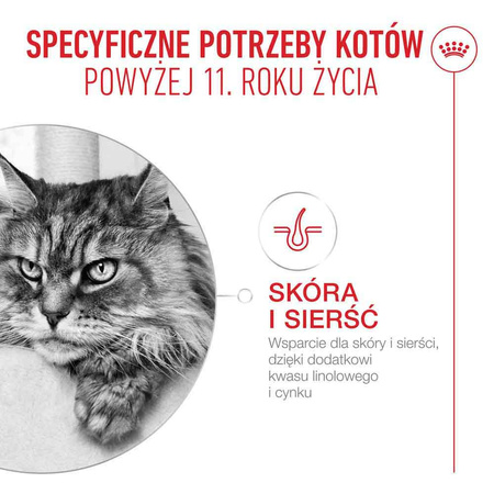 Royal Canin Ageing 11+ Karma Mokra 85g Kawałki w Sosie Dla Kotów Dojrzałych Po 11 Roku Życia