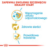 Royal Canin BHN Yorkshire Terrier Puppy 7,5kg Karma Sucha Dla Szczeniąt Rasy Yorkshire Terrier Do 10 Miesiąca