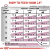 Royal Canin Veterinary Early Renal 1,5kg Sucha Karma Dla Dorosłych Kotów Z Niewydolnością Nerek