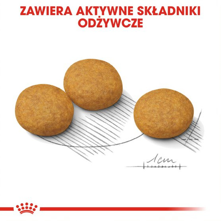 Royal Canin CCN Medium Dermacomfort 3kg Karma Sucha Dla Psów Dorosłych Ras Średnich O Wrażliwej Skórze Skłonnej Do Podrażnień