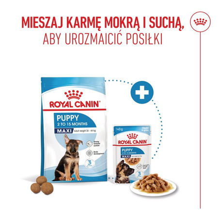Royal Canin Maxi Puppy 15kg Karma Sucha Dla Szczeniąt Od 2 Do 15 Miesiąca Życia Ras Dużych