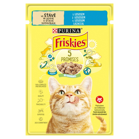 Purina Friskies Mokra Karma Dla Kota w Sosie 48x85g z Łososiem Wołowiną i Kurczakiem