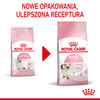 Royal Canin Fhn Kitten 10kg Karma Sucha Dla Kociąt +12x85g Mokra Karma w Sosie