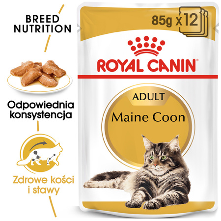 Royal Canin FBN Maine Coon Adult 24x85g Karma Mokra W Sosie Dla Kotów Dorosłych Rasy Maine Coon
