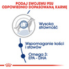 ROYAL CANIN Maxi Adult 2x15kg karma sucha dla psów dorosłych do 5 roku życia ras dużych