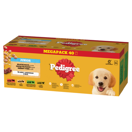 Pedigree Junior Wybór Smaków 80x100g Mokra Karma Dla Szczeniąt  Wołowina Kurczak Jagnięcina Ryż W Galaretce