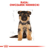 Royal Canin BHN German Shepherd Puppy 3kg Karma Sucha Dla Szczeniąt Do 15 Miesiąca Rasy Owczarek Niemiecki