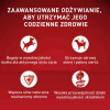 Purina ONE Mini Sensitive z Łososiem i Ryżem 6x800g Sucha Karma Dla Psów Małych Ras