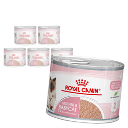 Royal Canin Mother&Babycat Instinctive Mousse 6x195g Karma Mokra Mus Dla Kotek W Okresie Ciąży Laktacji i Kociąt