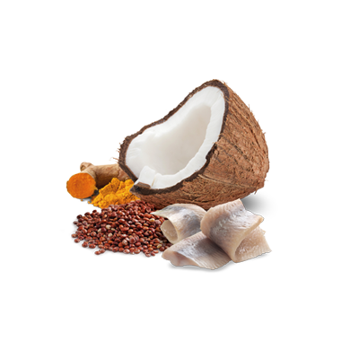 Farmina N&D Cat Quinoa Skin & Coat Herring & Coconut 6x80g Mokra Karma Dla Kota Śledź Z Kokosem Na Skórę I Sierść