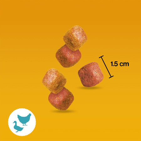 Pedigree Tasty Minis Chewy Cubes Z Kurczakiem 6*130g Przysmak dla psa 