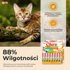 Inaba Cat Churu 60x14g (840g) Kremowy Przysmak Dla Kota Pasta Mix Z Kurczakiem