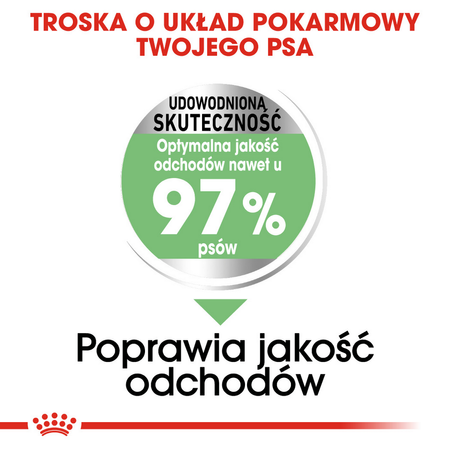 Royal Canin CCN Maxi Digestive Care 12kg Karma Sucha Dla Psów Ras Dużych O Wrażliwym Przewodzie Pokarmowym