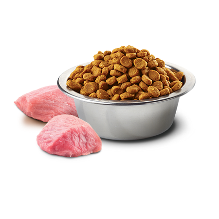 Farmina N&D Cat Prime Wild Boar Apple 5kg Sucha Karma Dla Kota Dzik z Jabłkiem