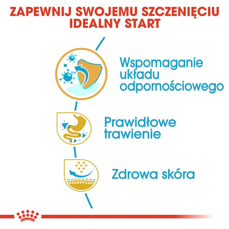 Royal Canin BHN French Bulldog Puppy 10kg Karma Sucha Dla Szczeniąt Do 12 Miesiąca Rasy Bulldog Francuski