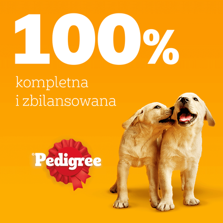 Pedigree Junior Saszetka 100g Mokra Karma Dla Psa Kawałki Bogate W Kurczaka W Galaretce