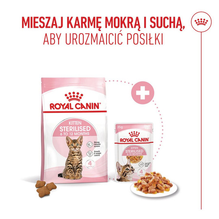 Royal Canin FHN Kitten Sterilised w Sosie i Galaretce 6x85g Karma Mokra Dla Kociąt Sterylizowanych Do 12 Miesiąca Życia